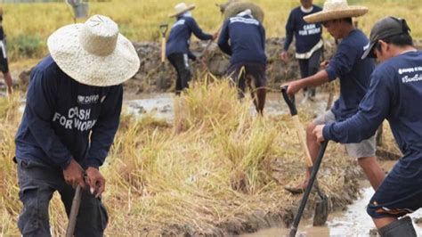 DSWD eyes rollout of ‘Project LAWA at BINHI’ in 310 towns amid .